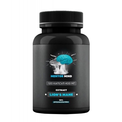   Mentor Mind  400  120 